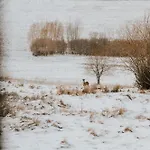 Kamienna Azyl - Z Sauna I Balia W Cenie, Kotlina Klodzka Kamienna (Klodzko)