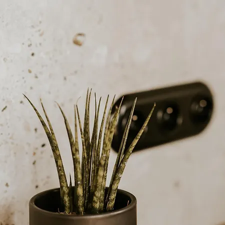 Kamienna Azyl - Z Sauna I Balia, Kotlina Klodzka Hébergement de vacances *