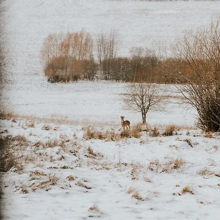 Kamienna Azyl - Z Sauna I Balia, Kotlina Klodzka Kamienna (Klodzko)