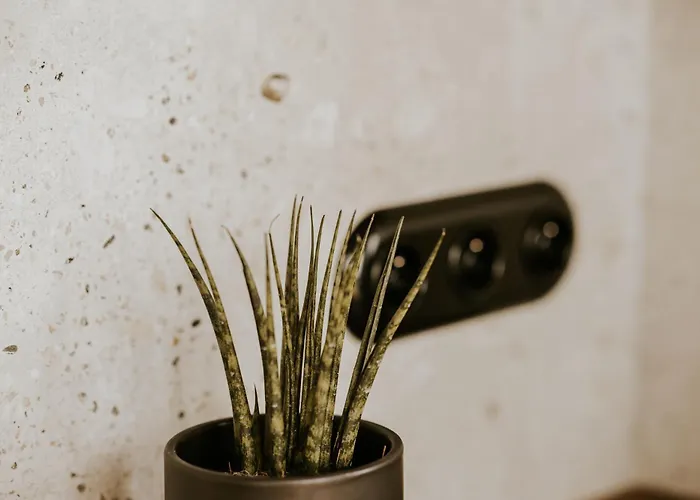 Kamienna Azyl - Z Sauna I Balia, Kotlina Klodzka Сasa de vacaciones *